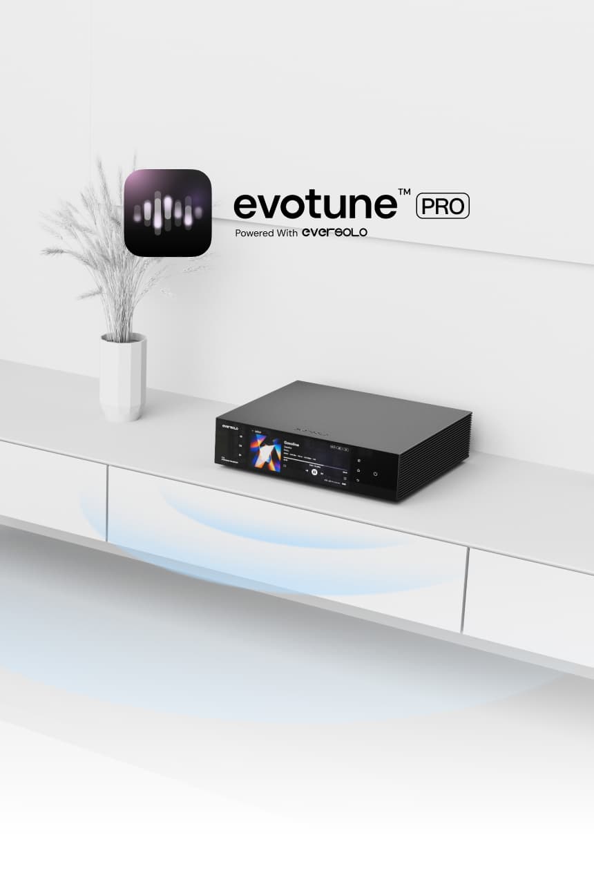 Eversolo em Portugal pela Delaudio Transporte T8